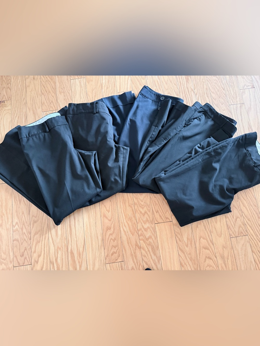 LOFT women’s dress pants - 5 pairs
